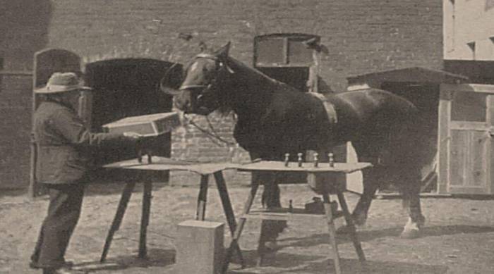 Why has the quality education reform not been successful in ten years? This is t