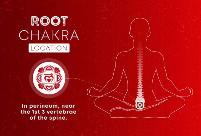 Where is Your Root Chakra? Female Location & Why It Matters