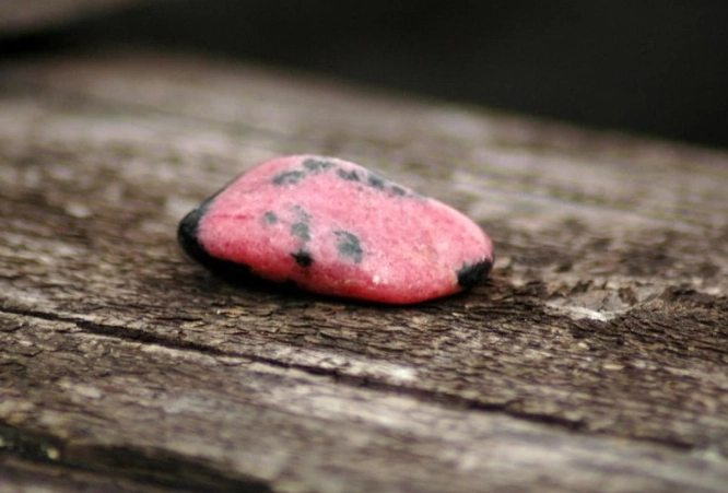 Who should wear Rhodonite