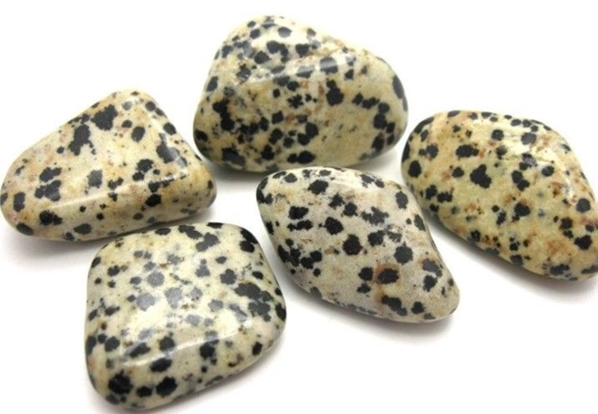 how to use dalmatian jasper