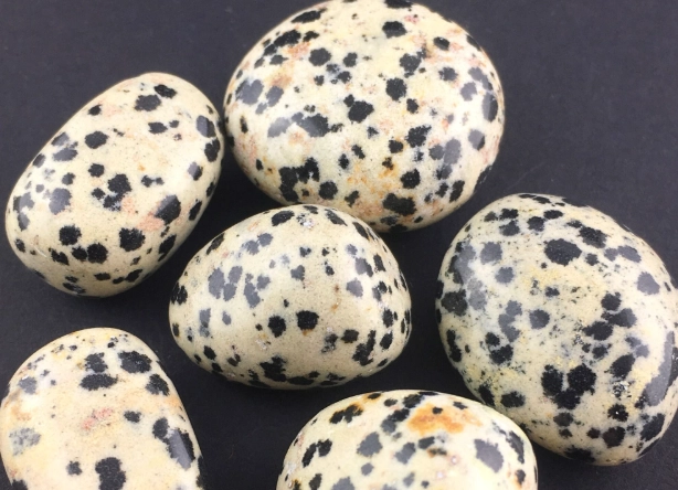 Dalmatian Jasper: Meaning, Uses & How to Spot Fakes