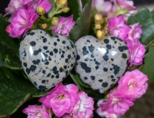 how to use dalmatian stone