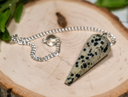 dalmatian jasper properties