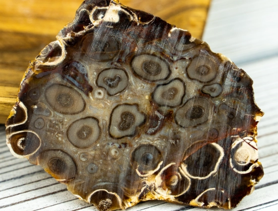 ocean jasper healing properties