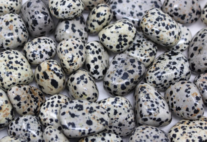 dalmation jasper meaning