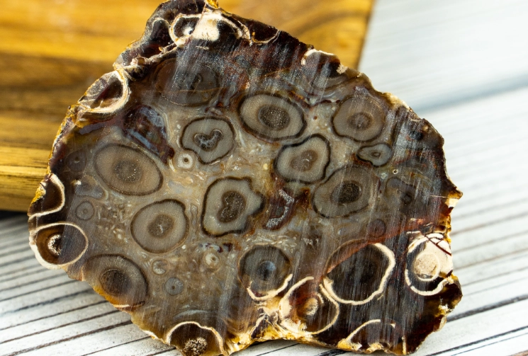 ocean jasper healing properties