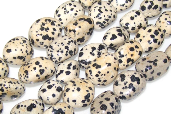 how to use dalmatian jasper