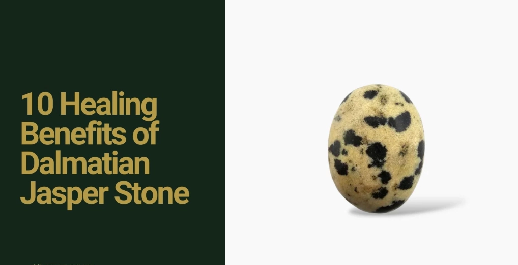 Unlock the Benefits of Dalmatian Jasper: A Complete Healing Guide