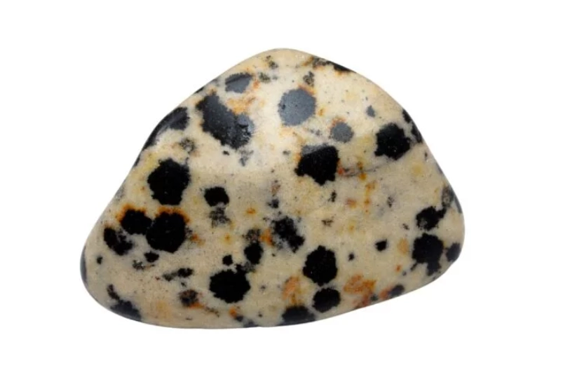 Dalmatian jasper rarity