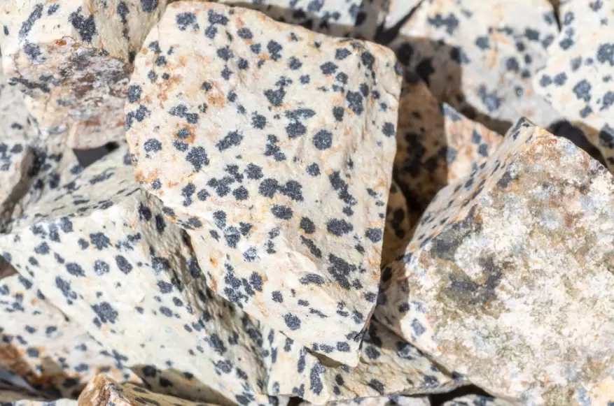 Is Dalmatian Jasper Rare? The Truth About This Spotted Stone