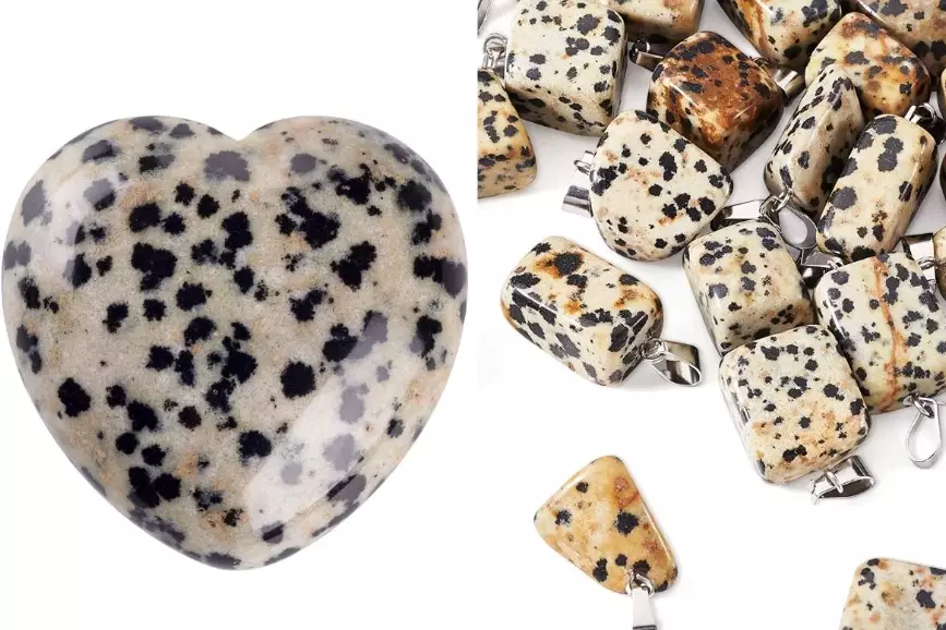 real vs fake dalmatian jasper