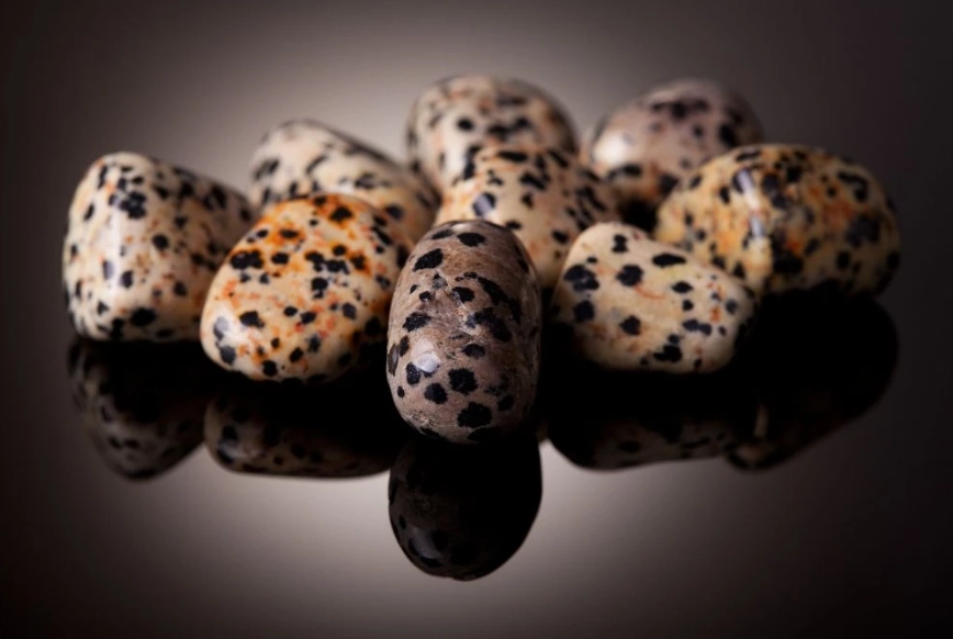 Dalmatian Jasper: Meanings, Healing Uses & How to Spot Fakes