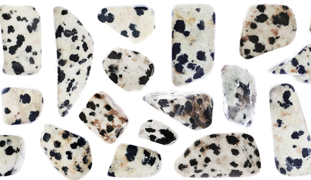 Dalmatian Jasper healing properties