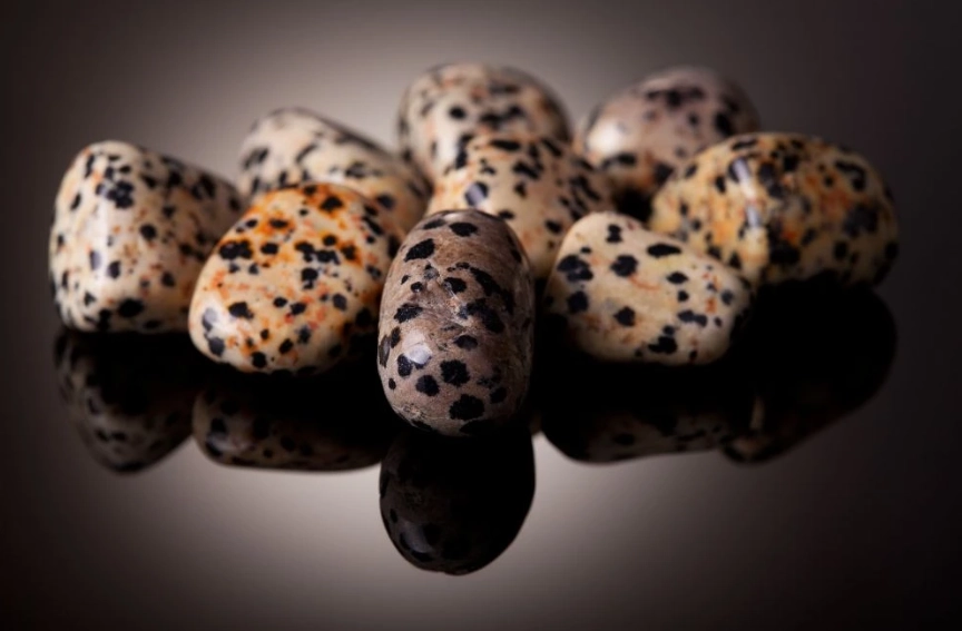 Dalmatian Jasper root chakra